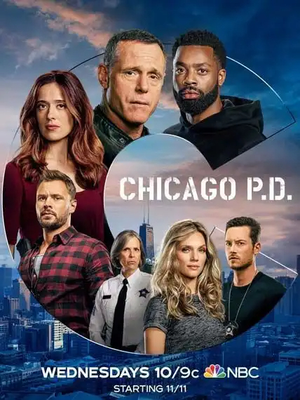Chicago Police Department S08E12 FRENCH HDTV