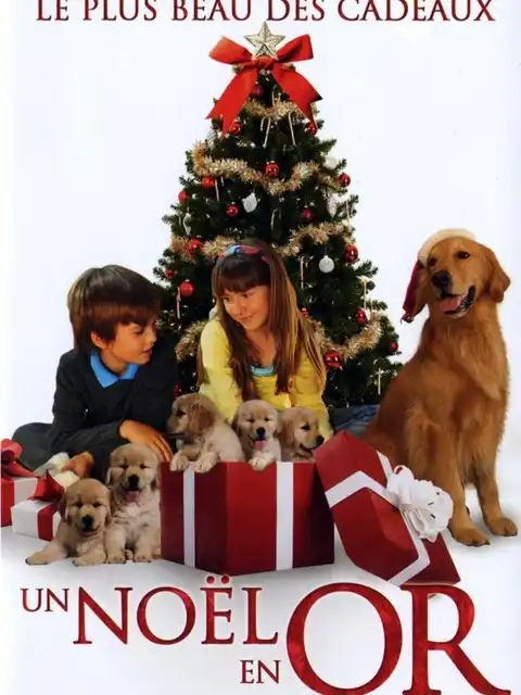 Un Noël En Or FRENCH DVDRIP 2010